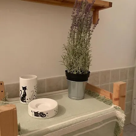 Apartment Le Parole Del Gatto