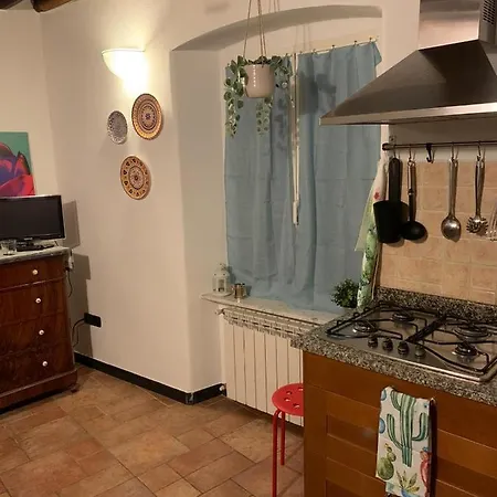 Le Parole Del Gatto * Genoa